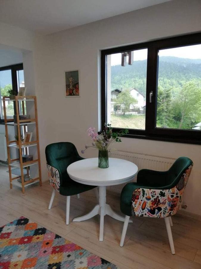 Belcara Apartment Buşteni 外观 照片