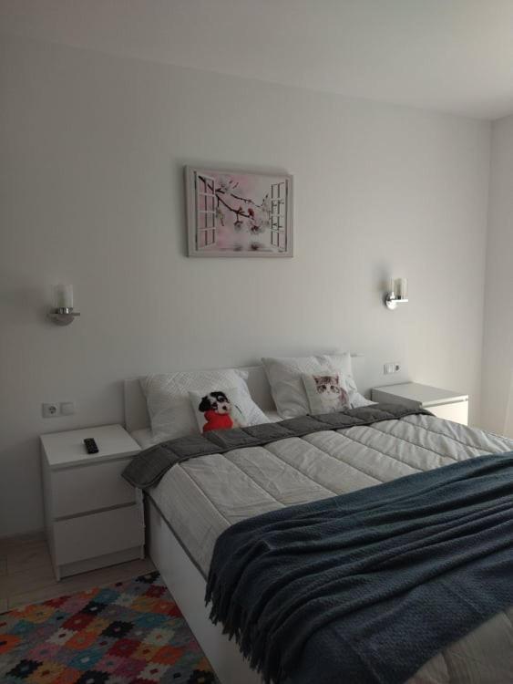 Belcara Apartment Buşteni 外观 照片