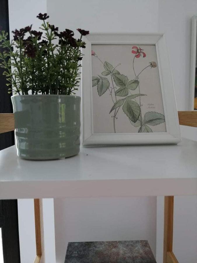 Belcara Apartment Buşteni 外观 照片