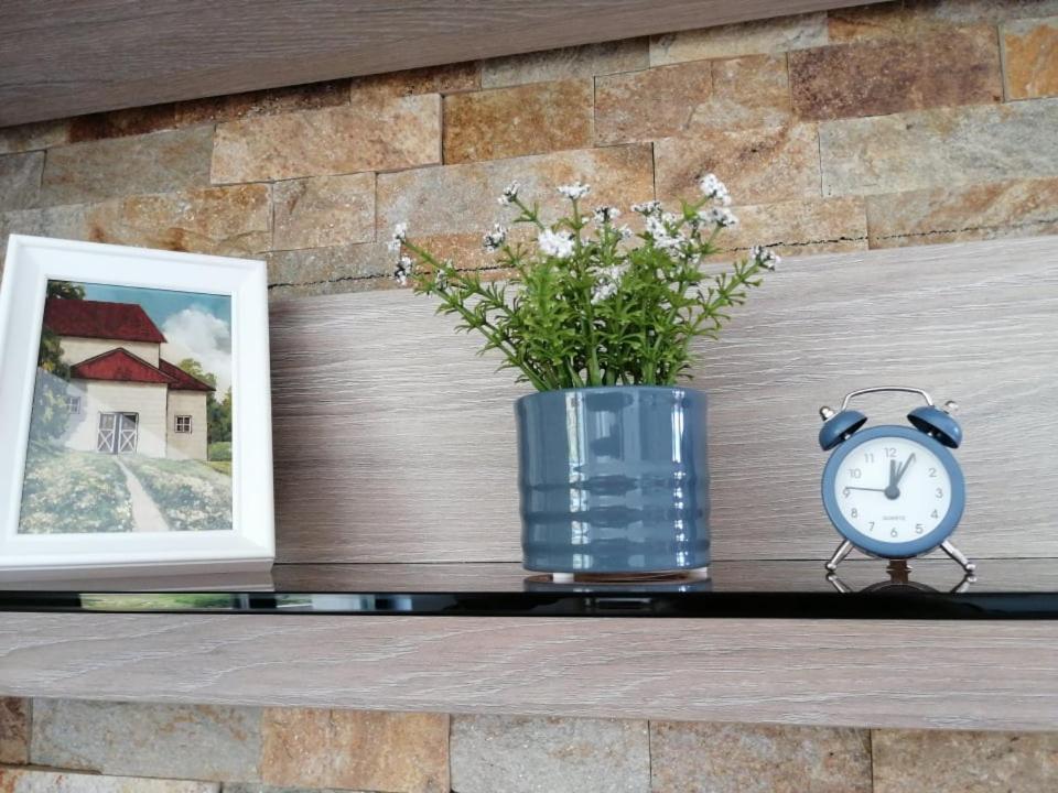 Belcara Apartment Buşteni 外观 照片