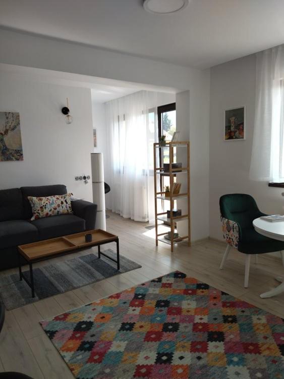 Belcara Apartment Buşteni 外观 照片