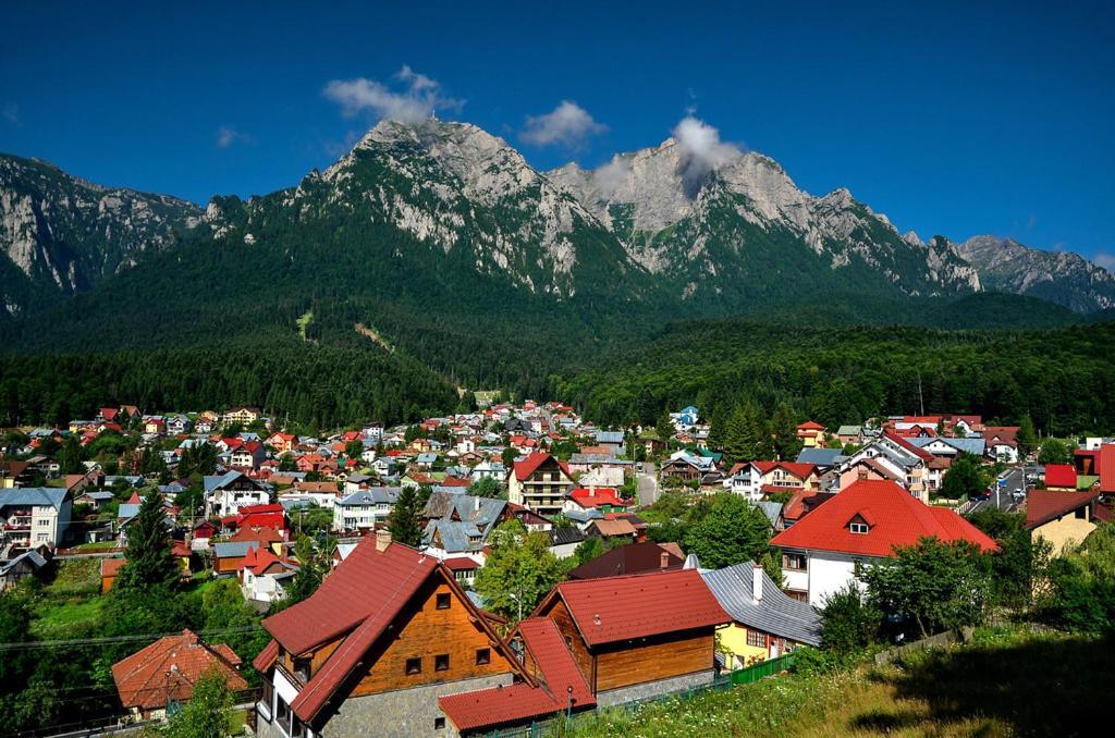 Belcara Apartment Buşteni 外观 照片